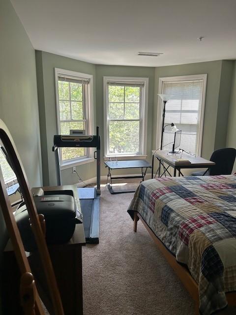 Primary bedroom with bay windows and carpet flooring