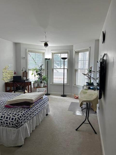 Primary bedroom with carpet flooring and large bay windows